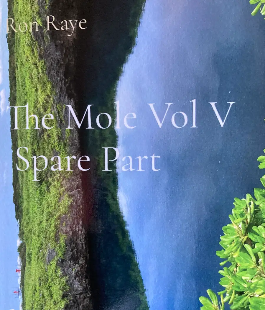 The Mole Vol V: Spare Part Cover Image